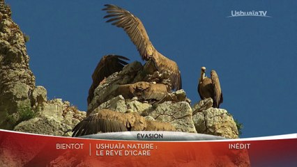 Ushuaia nature - Le rêve d'Icare