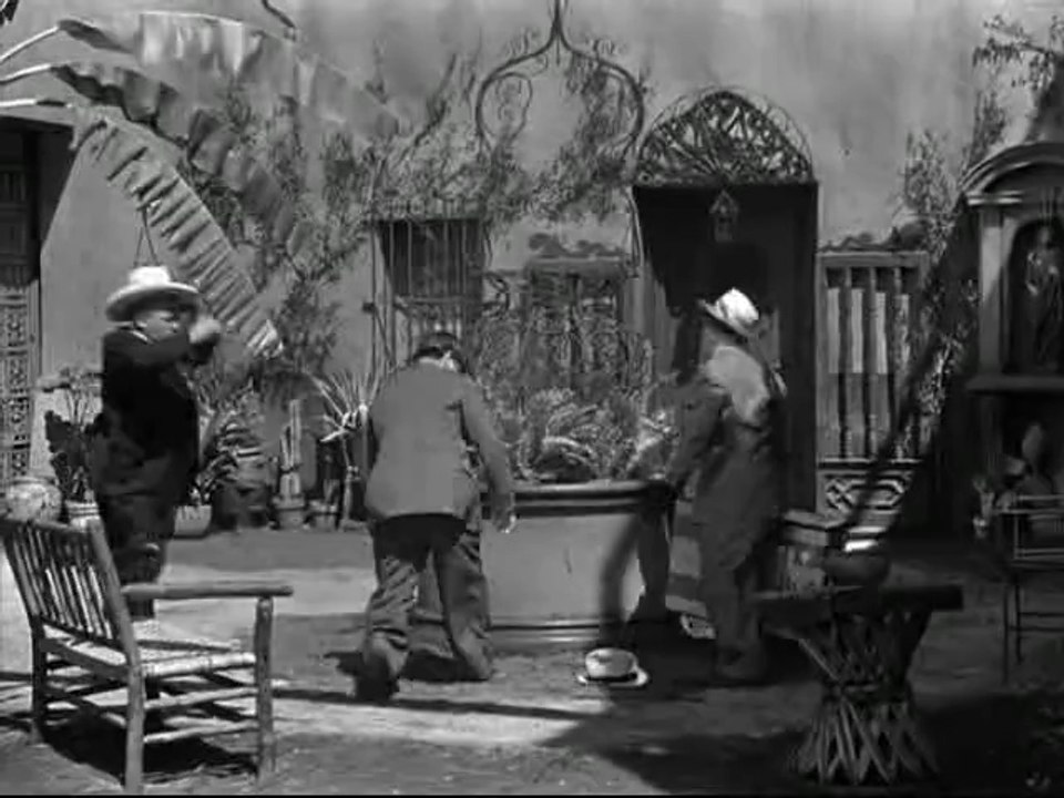 Whats the matador_xvid