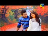 OST of kahani raima aur manahil ki by hum tv