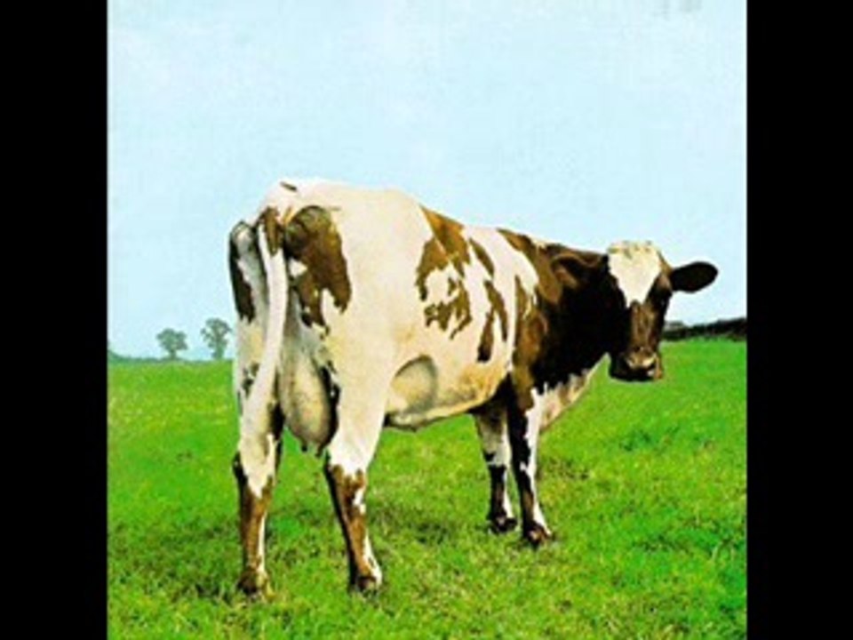 ATOM HEART MOTHER
