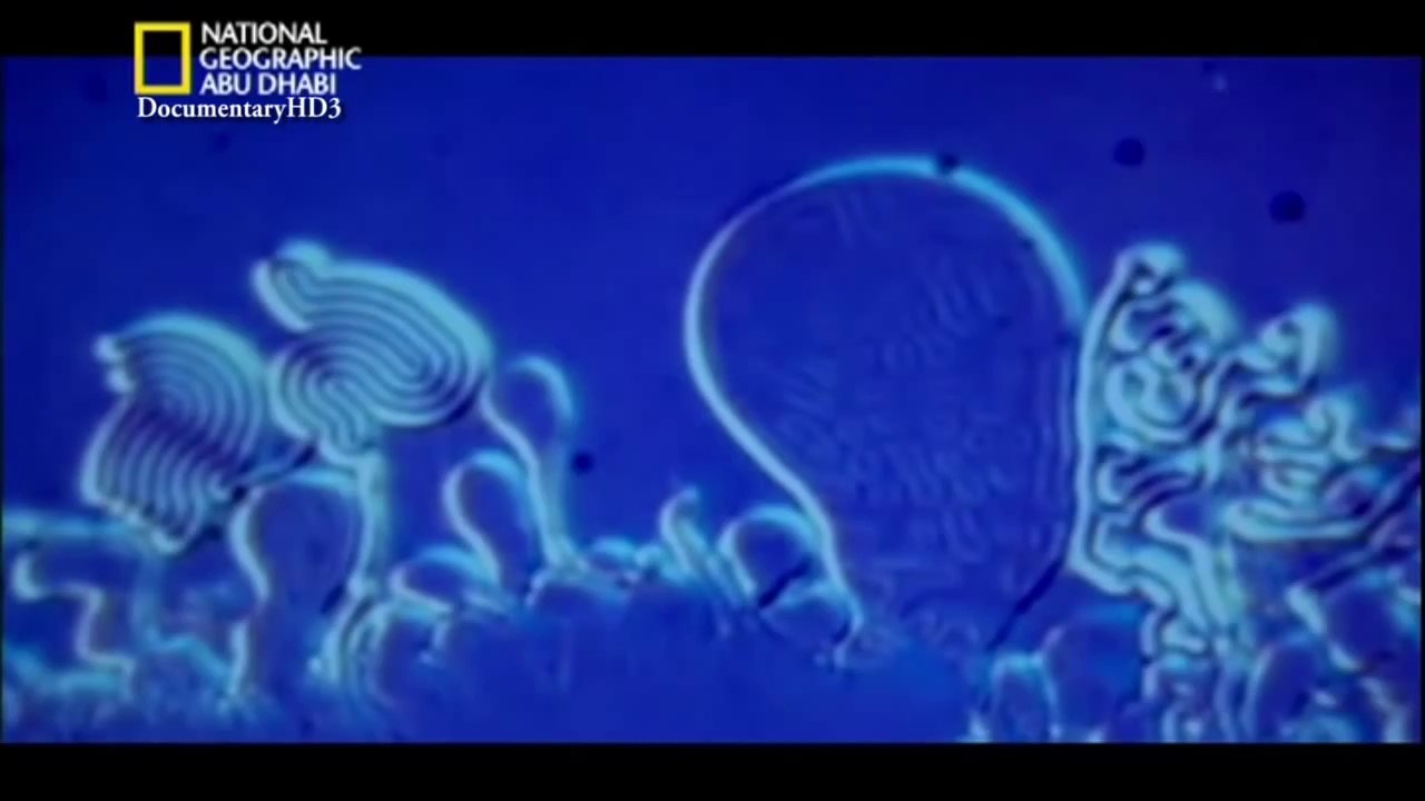 #وثائقي   علم مجرد  البحث عن أصل الحياة HD