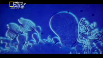 #وثائقي   علم مجرد  البحث عن أصل الحياة HD