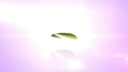 Elegant Rotation Logo Reveal - After Effects Template