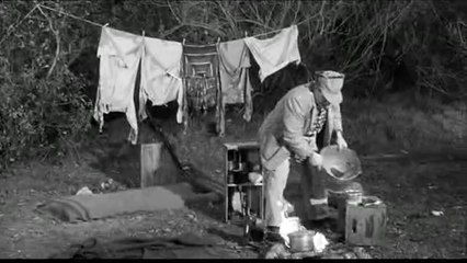 fling saucer daffy_xvid