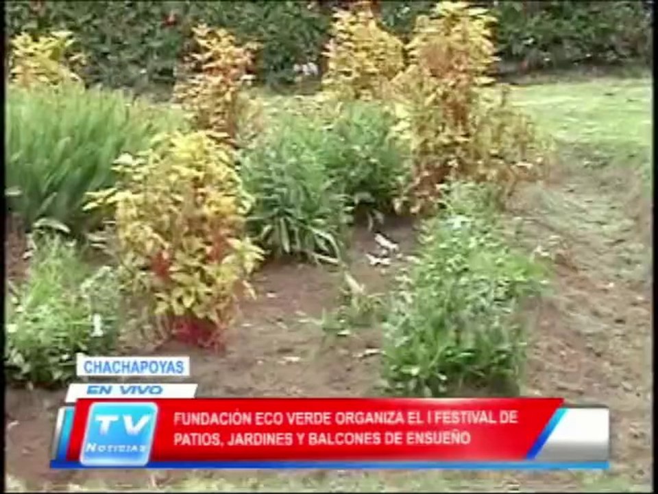 Chachapoyas: Fundacion Eco verde realiza festival de patios y jardines 18 02 14