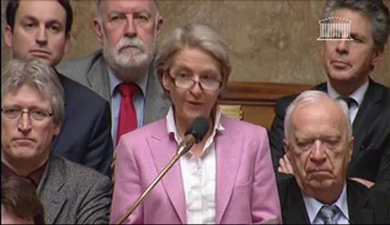 Laure de La Raudière - Attractivité de la France