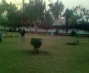 mian channu talent 6