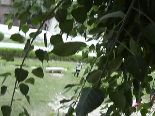 mian channu talent 19