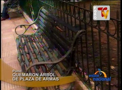 Gran malestar ha causado en la población la quema de un árbol de la Plaza de Armas
