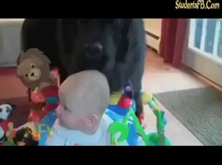 HAHAHA ... !! You must watch this )