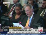 Roy Chaderton denuncia ante la OEA campaña de medios internacionales contra Venezuela