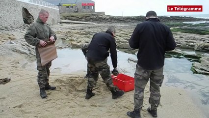 Quiberon (56). Les démineurs neutralisent un mortier sur la plage