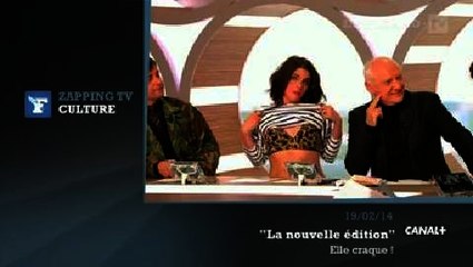 Zapping TV : la chroniqueuse de Canal+ enlève le haut !
