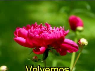 06 - La Hermandad Blanca