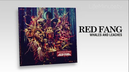 Hardcore Rockers Red Fang Join Forces with Fred Armisen