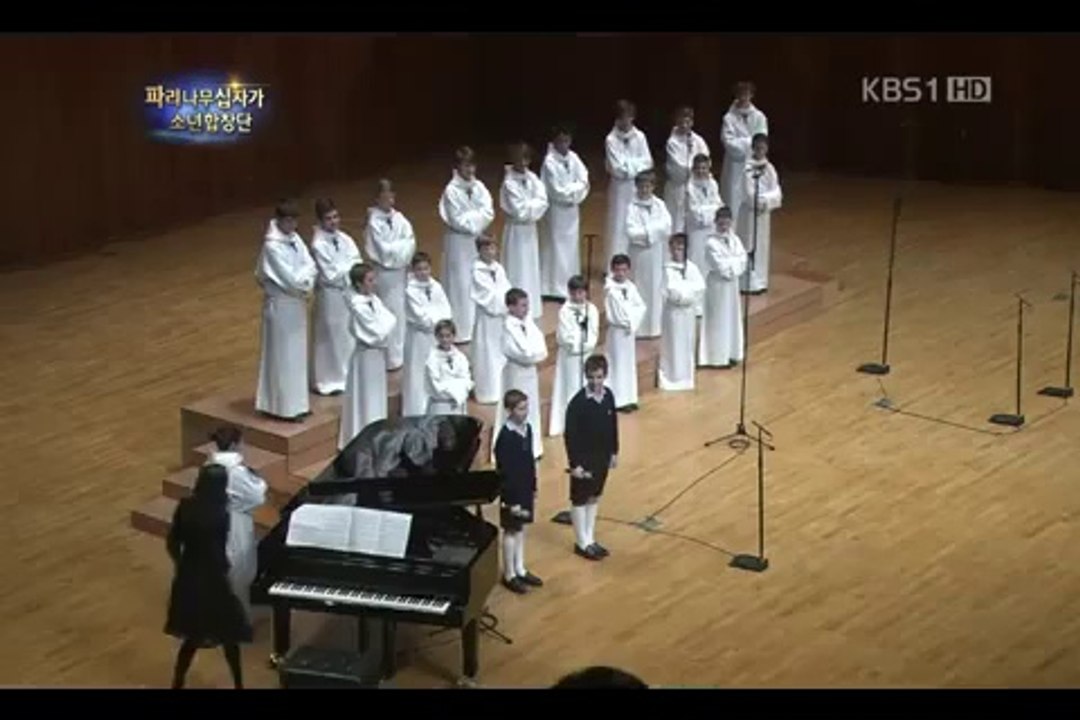 PCCB - DUO DES CHATS - COREE 2012