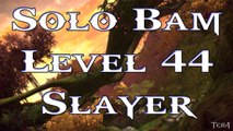 Tera: Solo BAM ( Reeking Orisk ) - Level 44 Slayer