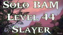 Tera: Solo BAM ( Patient Lithikumas ) - Level 44 Slayer