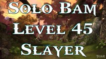 Tera: Solo BAM ( Mossy Teralith ) - Level 45 Slayer ( Double Kill )