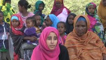Extreme genital mutilation on retreat in Somaliland