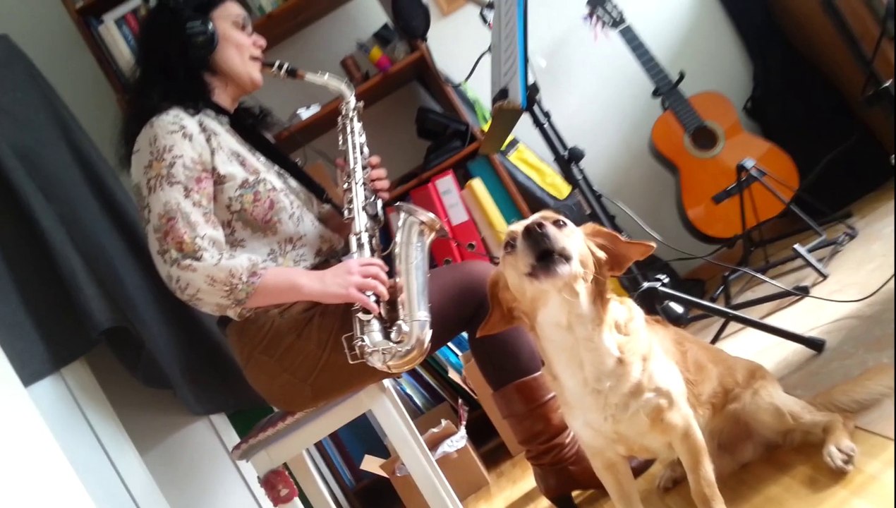 Dog Jazz