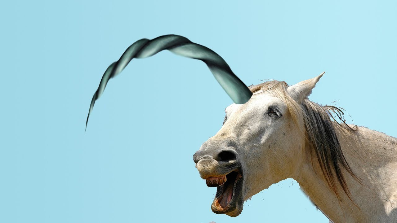 BEWARE OF UNICORNS
