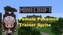 Minecraft Pixel Art: Female Trainer tutorial