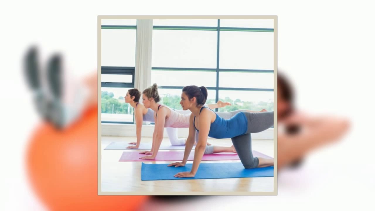 The U.S. fitness industry is estimated to be worth approximately $17.6 billion dollars in revenue