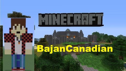 Minecraft Pixel Art: BajanCanadian Tutorial