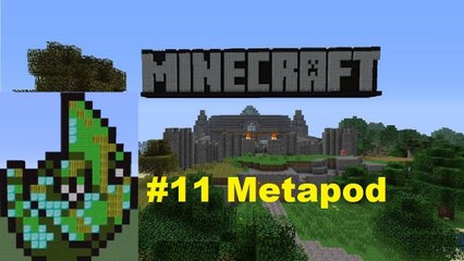 Minecraft Pixel Art: The Original 150 - #11 Metapod