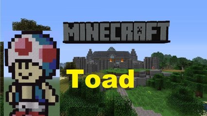 Minecraft Pixel Art: Toad Tutorial