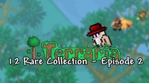 Terraria 1.2 - Rare Collection - Episode 2 - PC 1.2 Gameplay  - ChippyGaming