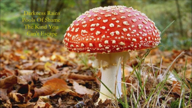 The Mescaline Lounge Players - Morbid Lullaby