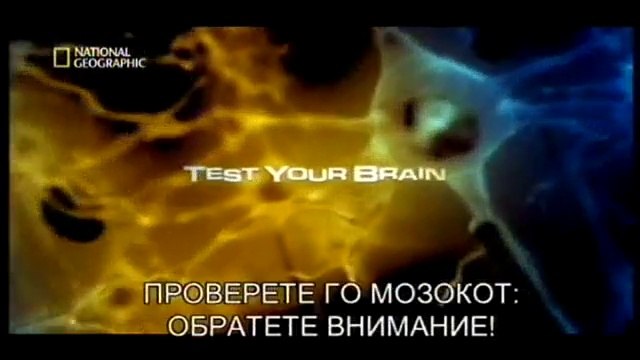 Тестирајте си го мозокот - Обратете внимание!