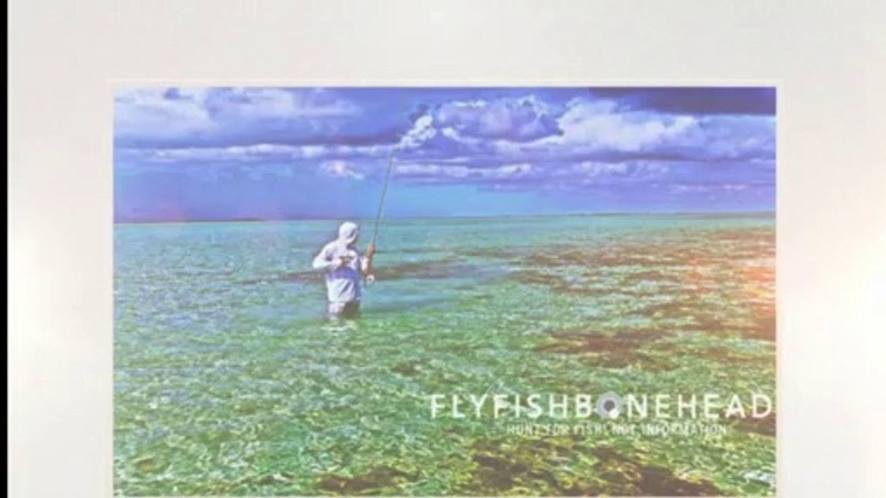 Flyfishing For Permit