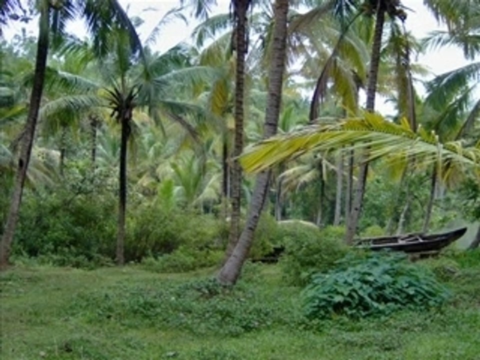 Flânerie