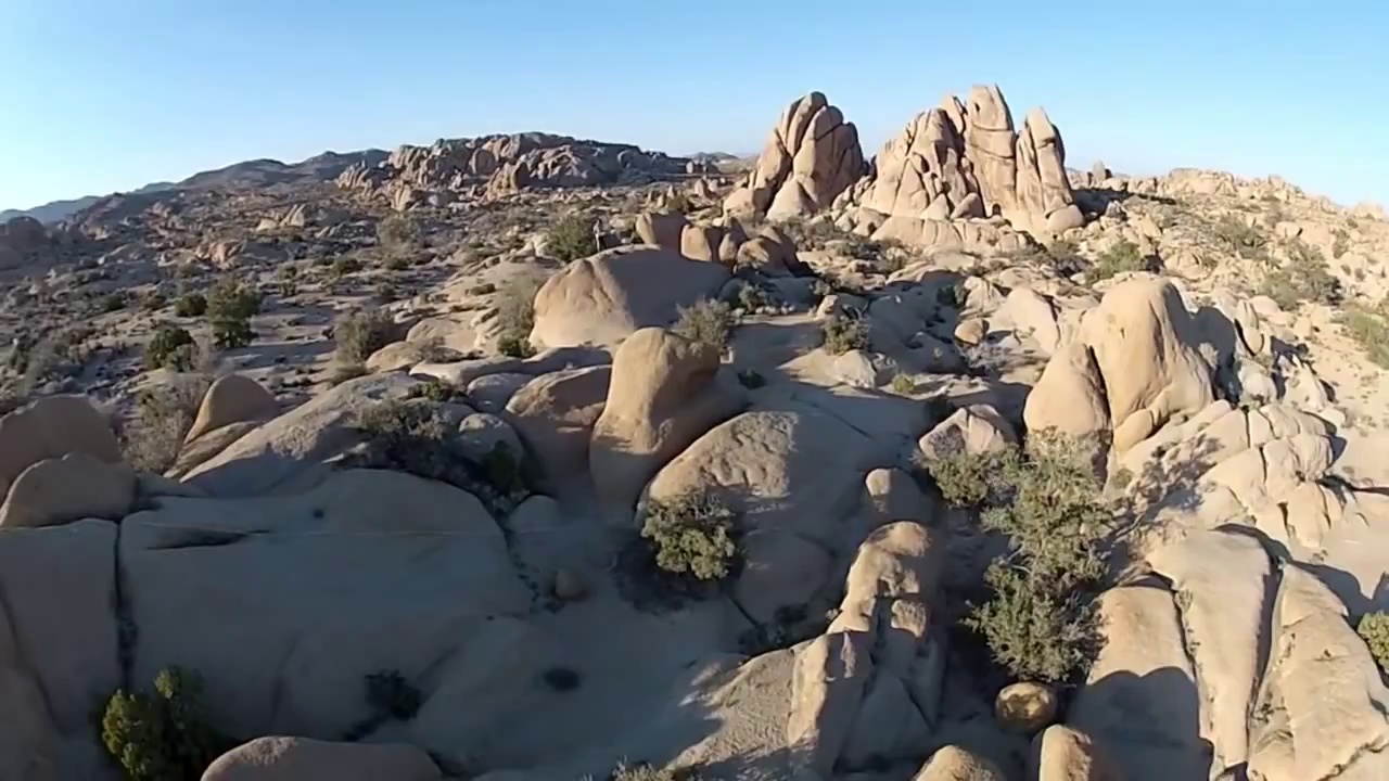 remote controlled helicopter