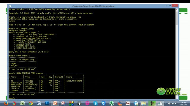 14. Advance php in Urdu - Creating Pages Table