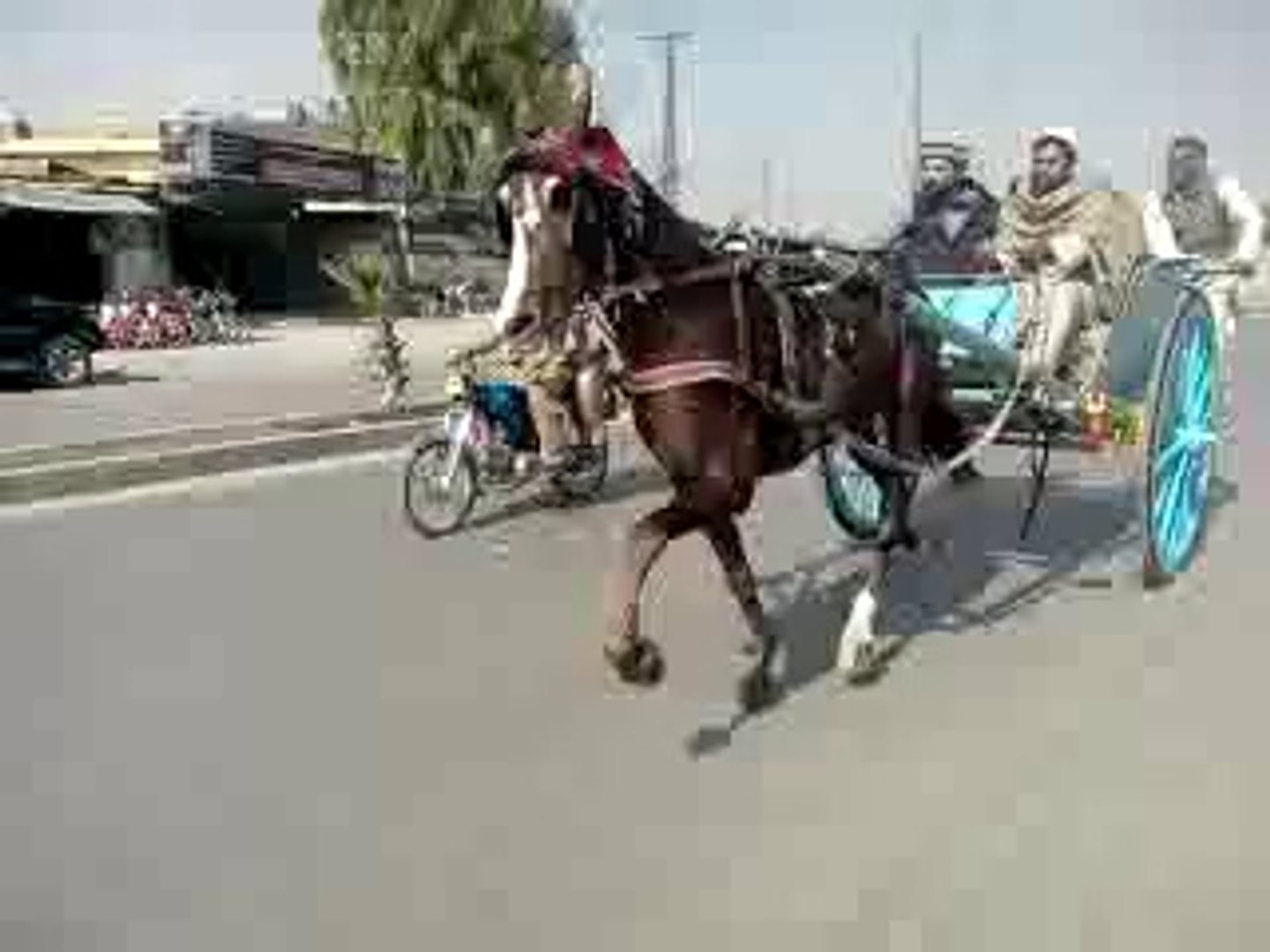 ⁣horse race try(jamal shah horse rawalpindi)