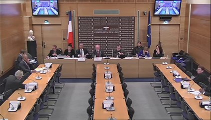 Victorin Lurel  / audition délégation aux Outre-mer