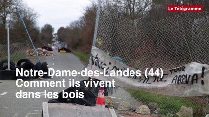 Download Video: Notre-Dame-des-Landes (44). Comment ils vivent dans les bois