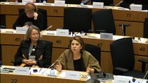 Intervention sur la libéralisation des services d'eau et d'assainissement - commission ENVI - initative citoyenne européenne sur l'eau