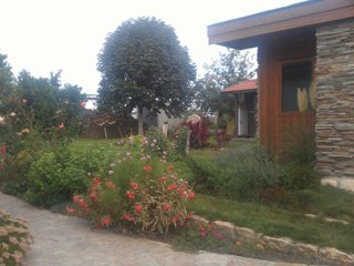 Holograf - Daca noi ne iubim (Cover DUMBO)