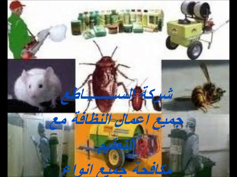 شركة رش مبيدات بالخرج 0562823307 رش مبيد بالخرج مع الضمان