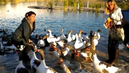 Agora Ticaret Lisesi