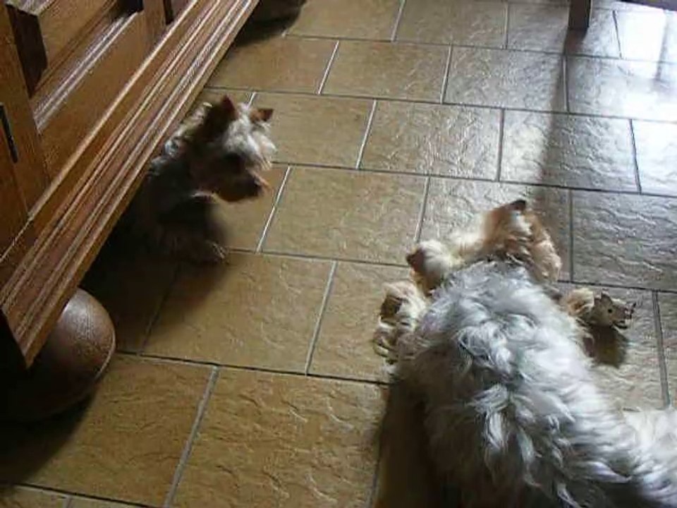 On fait les poussières !