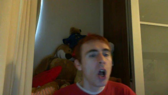 Wiwi égratigne promenade en traîneau de Ginette Reno