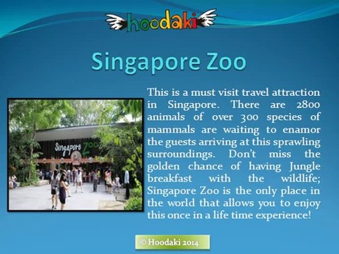 Top Singapore Attractions for the Tourists Planning Trip to the City