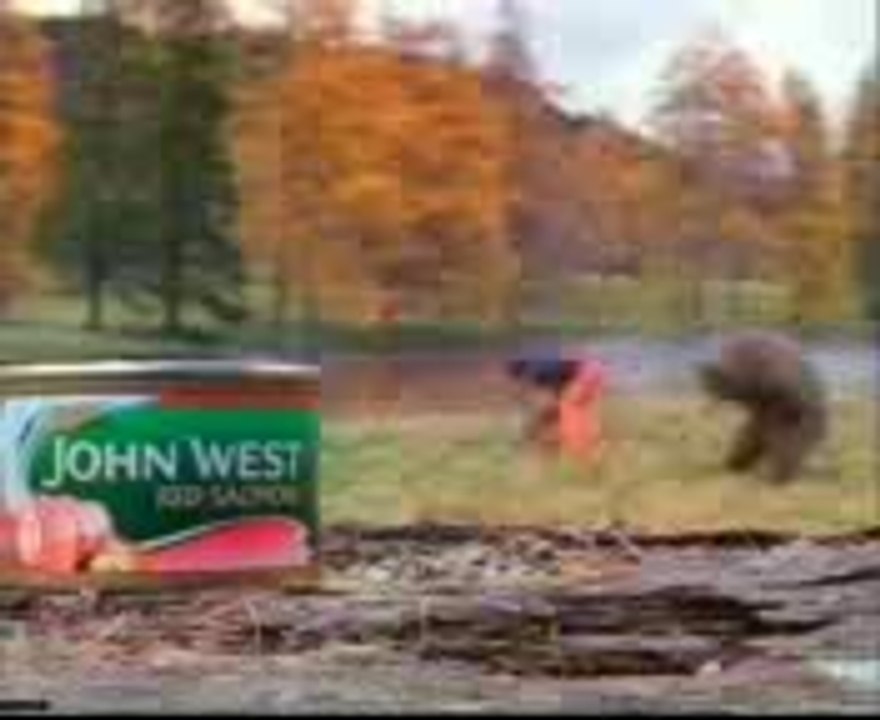 bear_fight.3gp