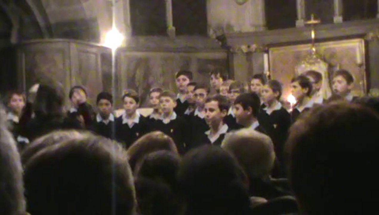 24/01 - la rose rouge